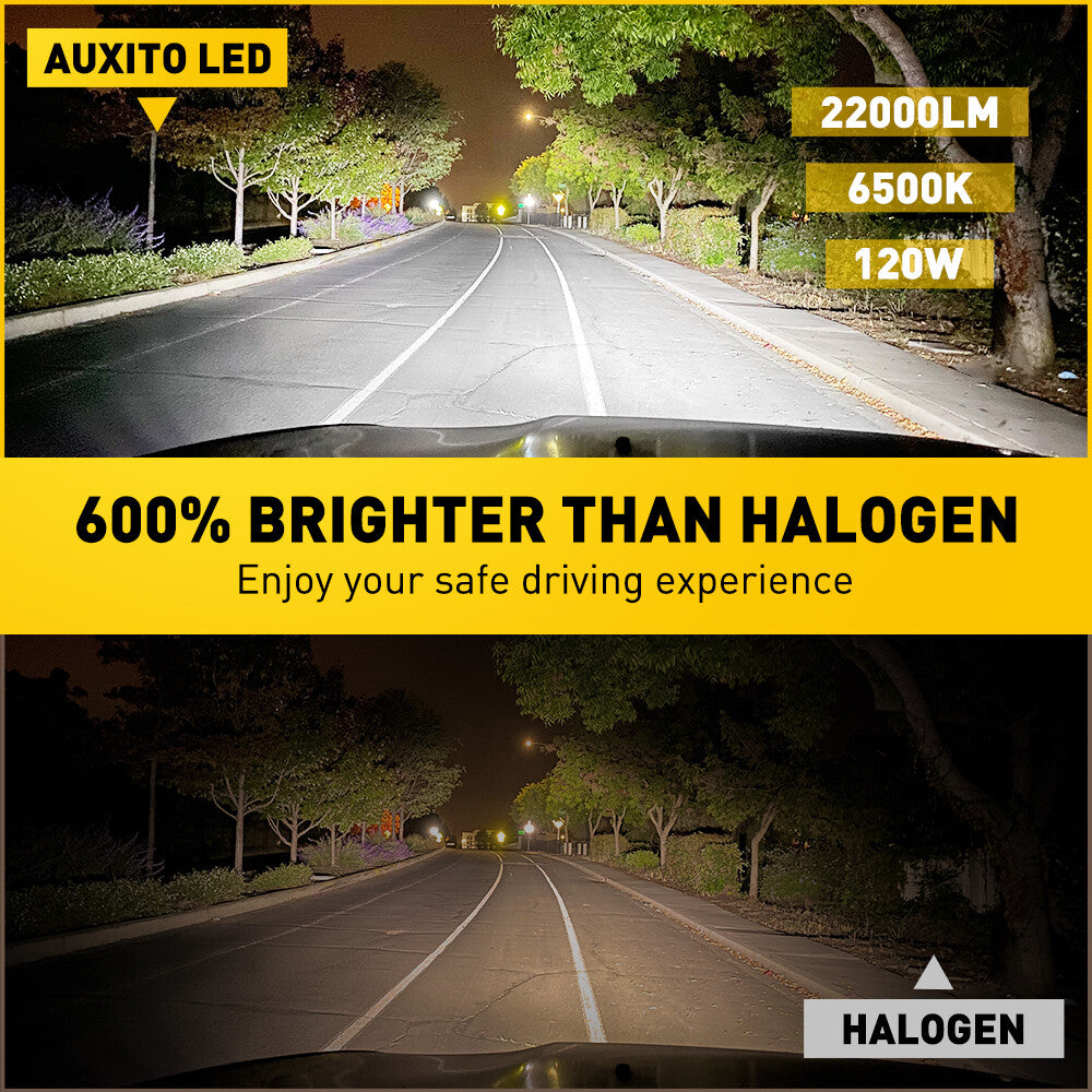 9005 9006 LED Senior Citizen Calling 6500K White Sprout Bright Light Series