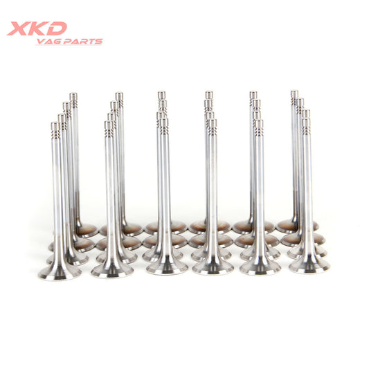 Engine ExhaustIntake Valves Fit for Audi for A6 /quattro 05-08 2.4L 06D109611K