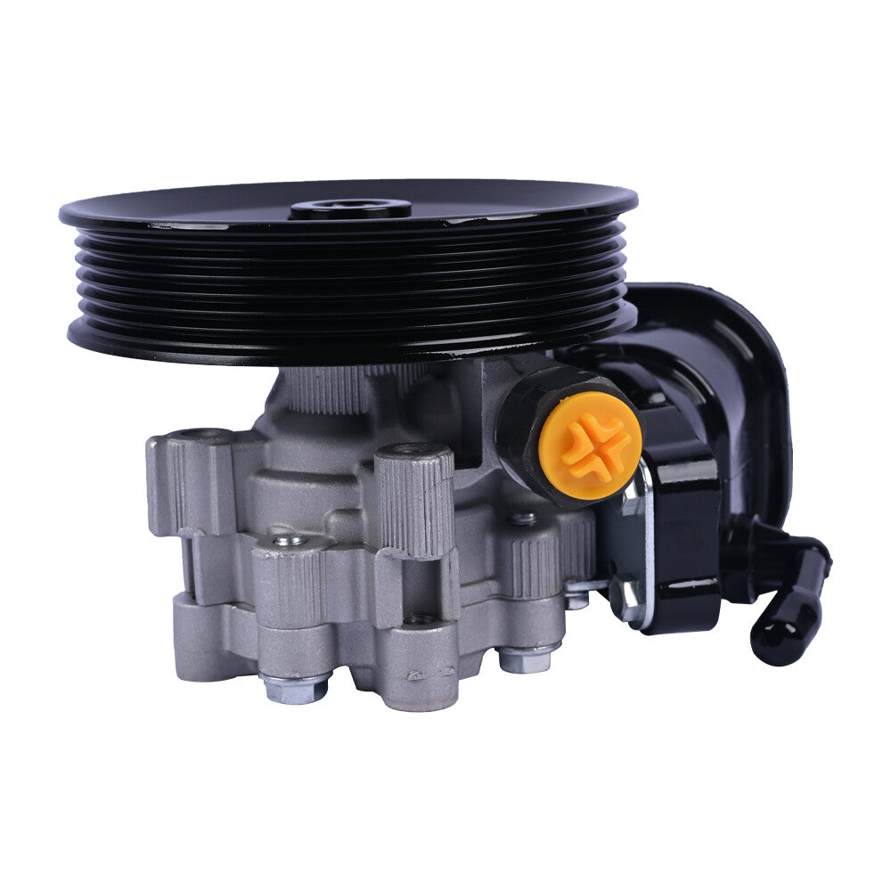 NEW Power Steering Pump KIT for Chevy Captiva Sport 12-15 13581202