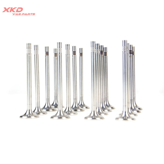 2.0TDI exhaust and intake valves suitable for Volkswagen Beetle CC EOS, for Audi A3, A4, Allroad, and Quattro.