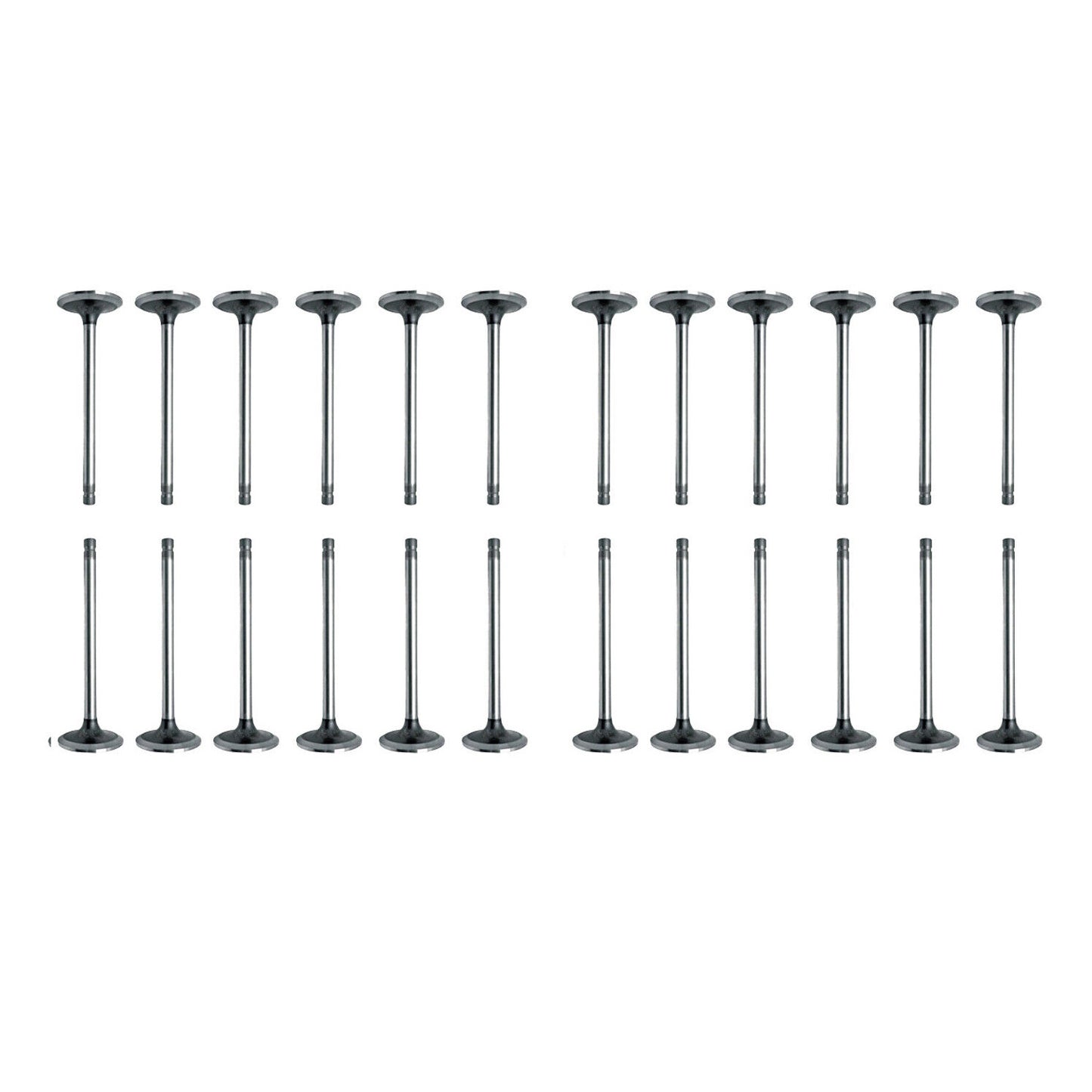 24PCS Intake/Exhaust Valve Kit for Land Rover Discovery XF 306DT 3.0 D 1311281