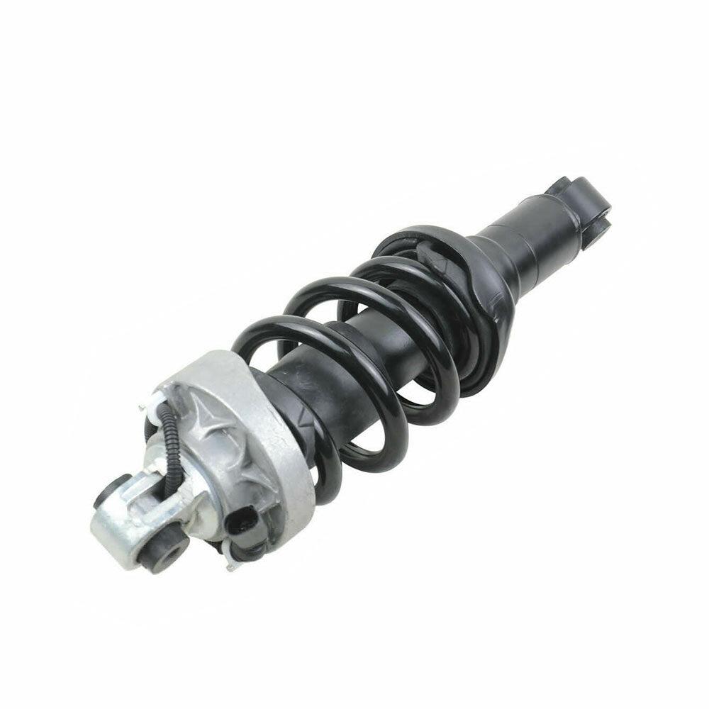 Pair Front Shock Absorber Struts for Audi R8 V8 V10 2007-2015 420412020AK