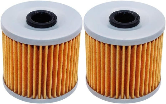 2 Pack Motorcycle Oil Filters for Kawasaki 220 Bayou KLF220 1988-2002 16099-004