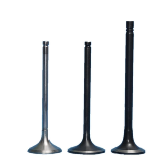 for Mercury for Puma '99-'02 Intake Valve