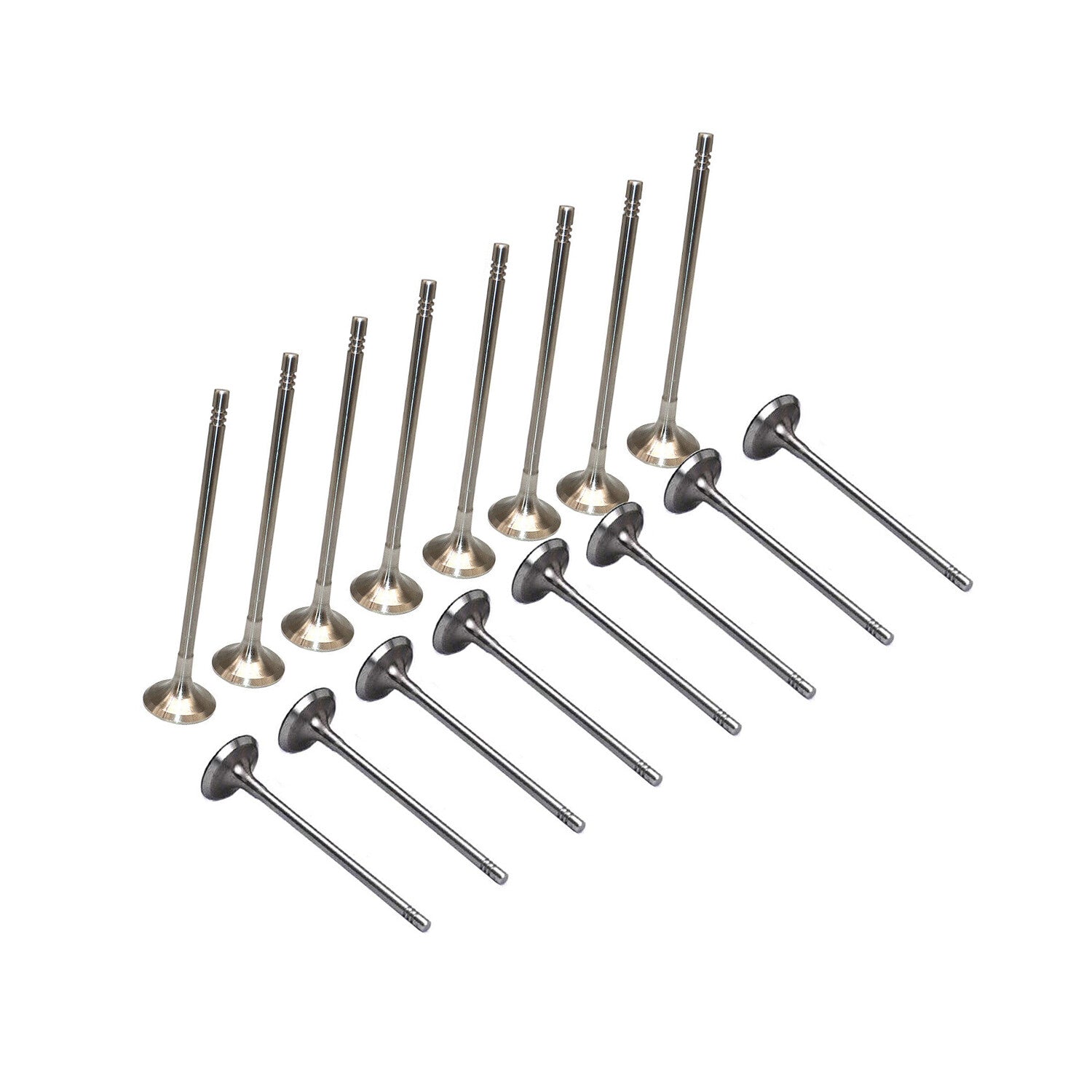 8x ExhaustIntake Valves N13 N18 1.6T for BMW for Mini 118i Cooper S F20 F30 R55 R56