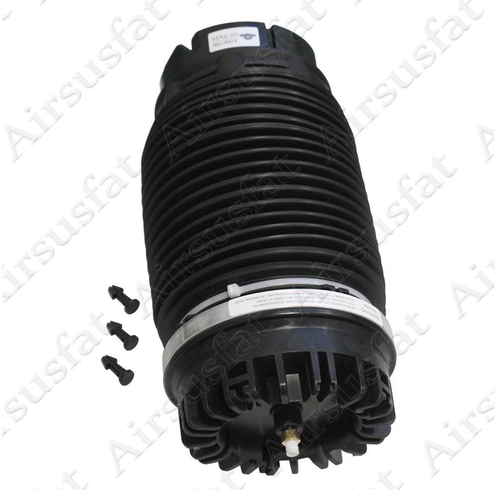 Pair Rear Air Suspension Spring Bags Fit for Dodge for RAM 1500 2019-2024 68260938AB US