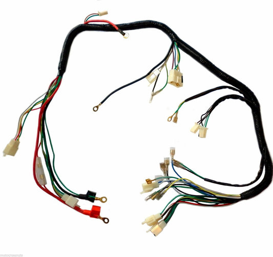 Standalone Wiring Harness Engine Assembly 150cc-250cc Quad Bike ATV Go Kart