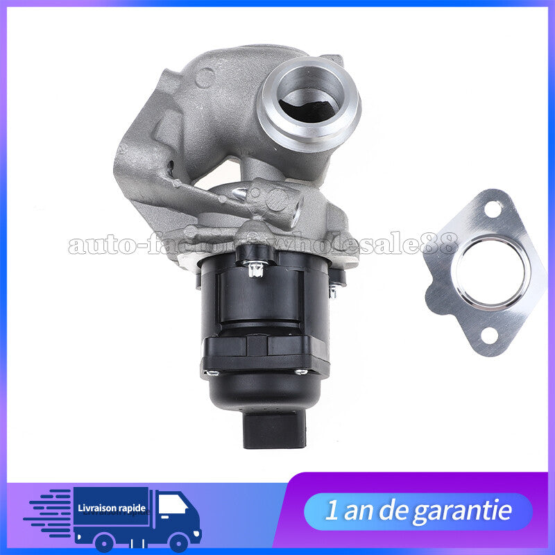 Vanne EGR pour for Peugeot 207 307 308 407 1.6Hdi 90cv 110cv for CITROEN C3 C4 C2 161859