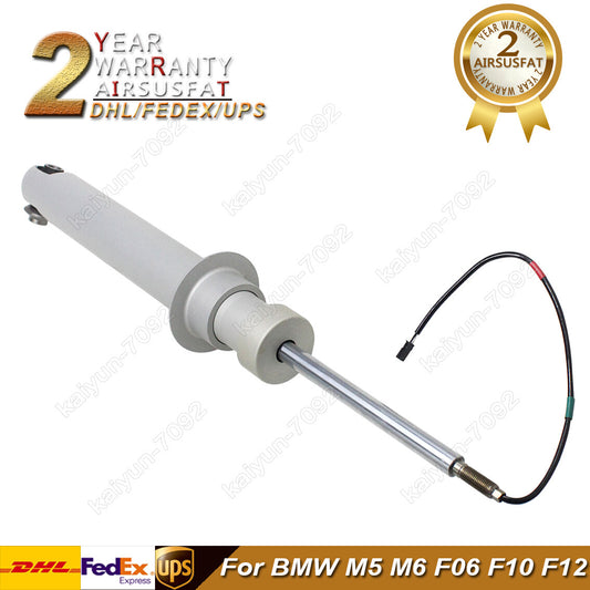 Rear Shock Absorber Strut Core w/ADS for BMW M5 M6 F06 F10 F12 2013-2018
