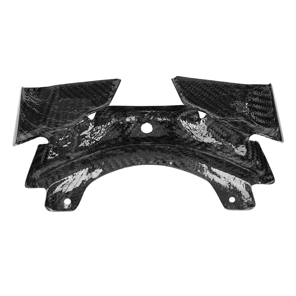 Hot Motorcycle Accessories Carbon Fiber Rear Taillight Guard Cover Part For