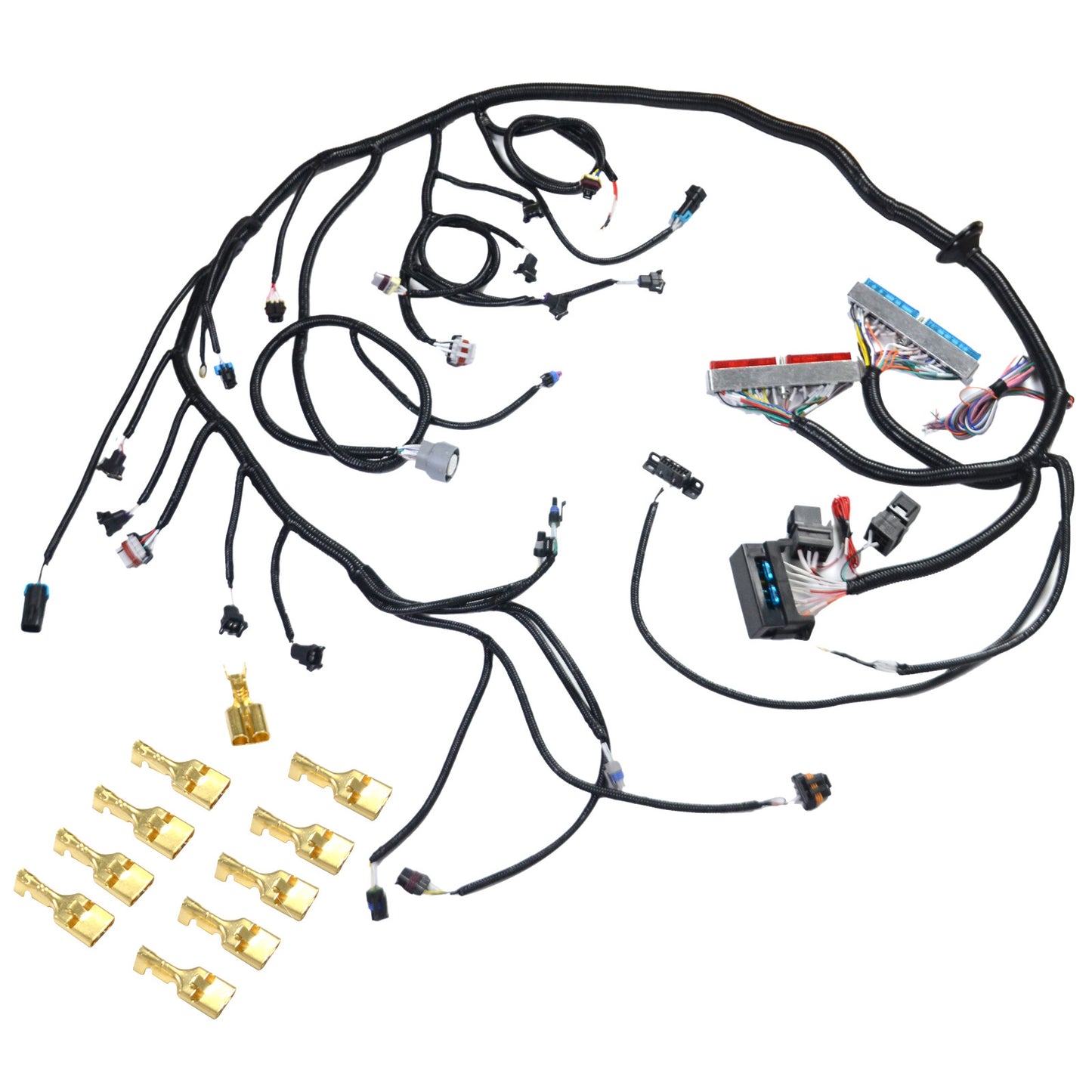 New Standalone Wiring Harness for GM LS LS1 LS6 4.8L 5.3L 6.0L 1999-2003 W/4L60E