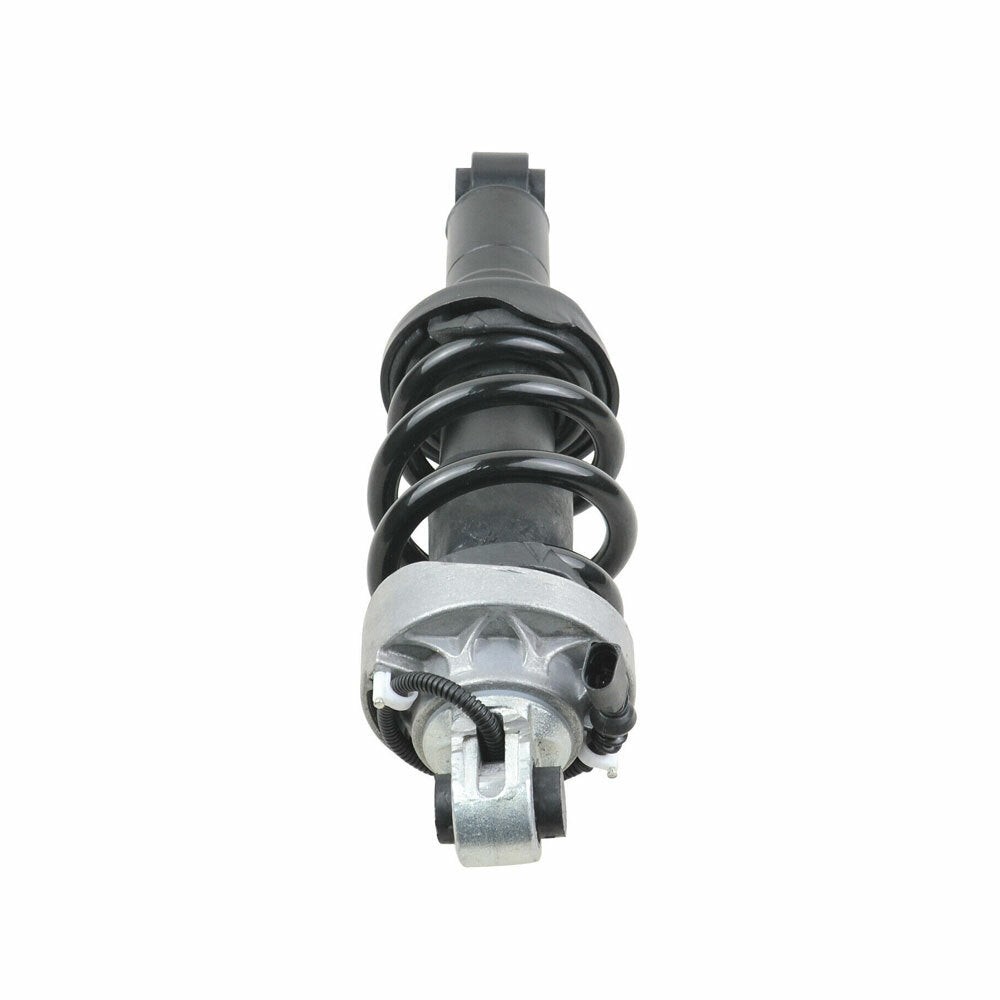 Pair Front Shock Absorber Struts for Audi R8 V8 V10 2007-2015 420412020AK